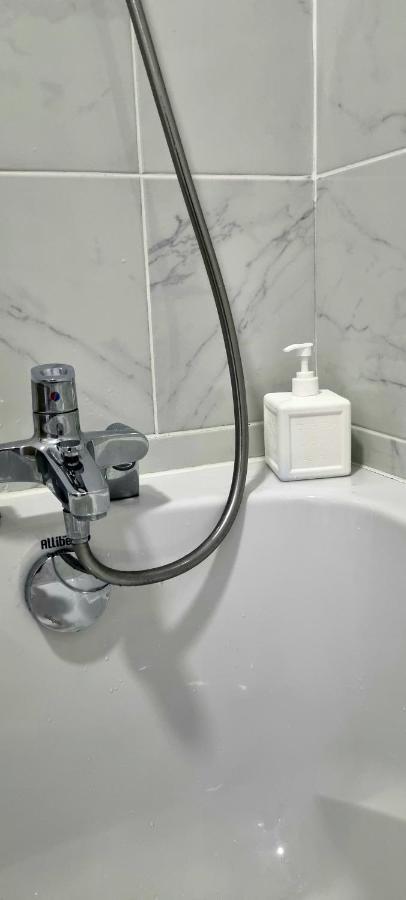 Golden Mont Centre Appartement ポー エクステリア 写真